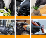 Disposable Mechanic Gloves 100pcs - 画像 (3)