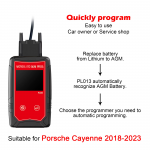 WOYO PL013 PRO Lithium-to-AGM Battery Conversion Programmer For Porsche Cayenne Vehicles – Image 3